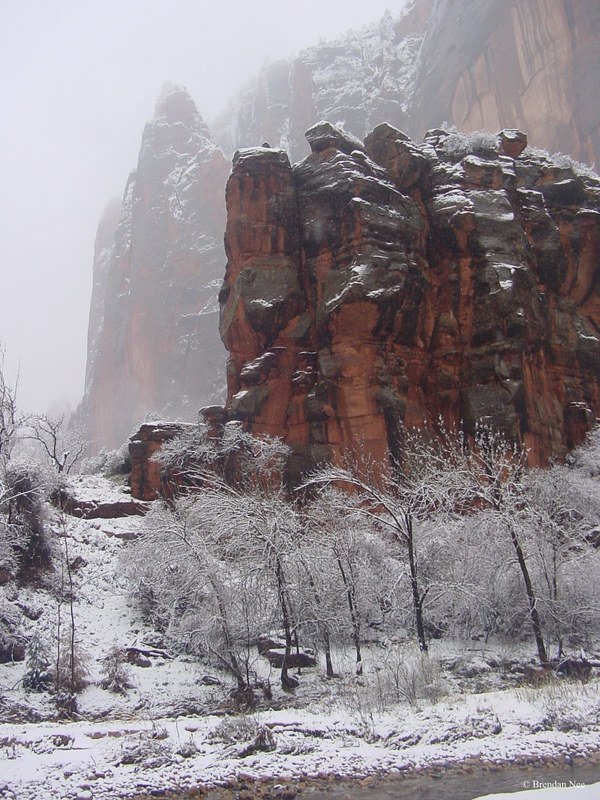 Zion National Park - Zion National Park 1-05 514